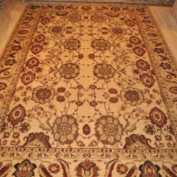 10' X 14' Elegant Persian Room Size Handmade Agra Rug 