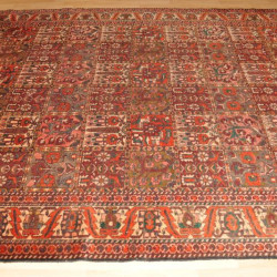 Large Handmade Persian Bakhtiari Rug 